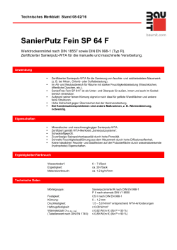 SanierPutz Fein SP 64 F