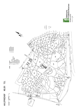 Friedhofsplan Waldfriedhof - Neuer Teil