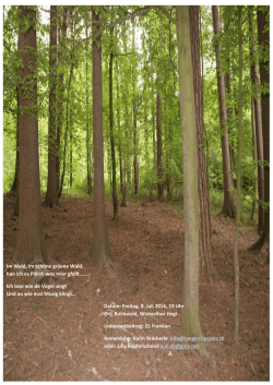Im Wald, im sch&ouml;ne gr&uuml;ene Wald, han ich es Pl&auml;tzli wos mier gfallt