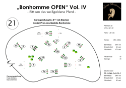 Parcours - reitturniere