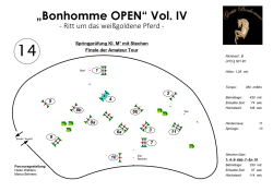 Parcours - reitturniere