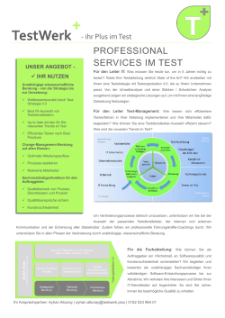Produktblatt Professional Services im Test v1.0