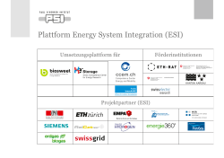 Plattform Energy System Integration (ESI)
