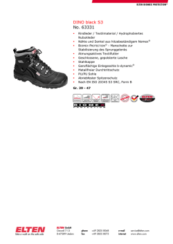 DINO black S3 No. 63331