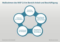 Maßnahmen des NAP 2.0 im Bereich Arbeit und Beschäftigung [PDF
