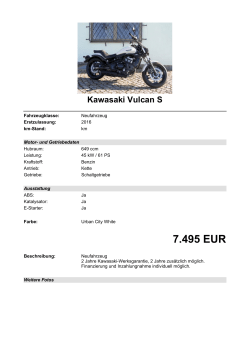Detailansicht Kawasaki Vulcan S