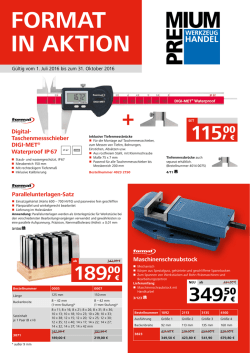 Aktionsprospekt FORMAT in Aktion 2016/2017