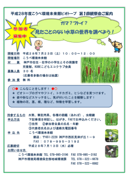 見たことのない水草の世界を調べよう！
