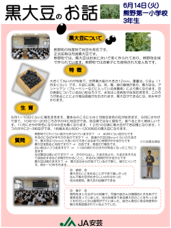 熊野町の特産物で枝豆も有名です。 正式名称は丹波黒大豆です。 熊野