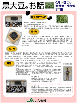 熊野町の特産物で枝豆も有名です。 正式名称は丹波黒大豆です。 熊野