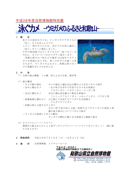 泳ぐカメ -ウミガメのふるさと和歌山