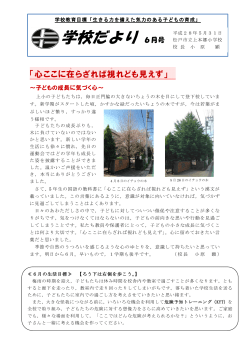 学校だより 6月号 - 松戸市教育情報センター