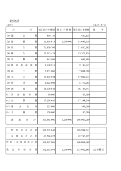 （一般会計） [PDFファイル／24KB]