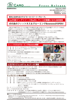リリース全文