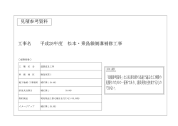 松本・乗島線側溝補修工事(見積もり参考資料).