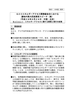 日本語（仮訳）（PDF）