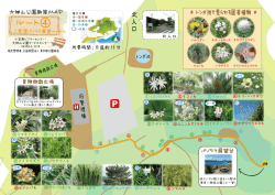 ルート④ - 東京都公園協会