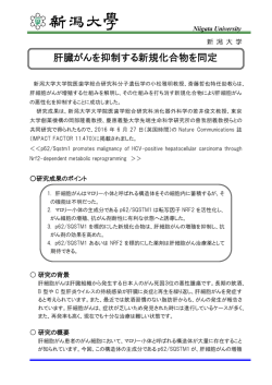 詳細はこちら（PDF:614KB）