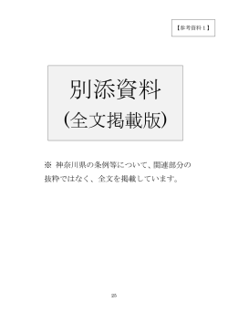 別添資料（全文掲載版） （PDF 3.8MB）