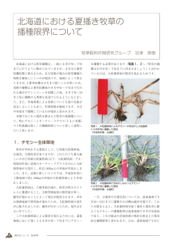 北海道における夏播き牧草の 播種限界について
