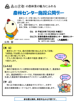 （パンフレット）（PDF：502KB）