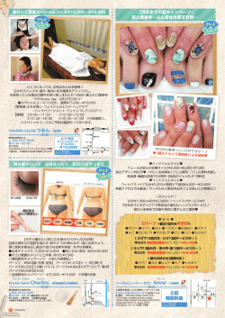 上記 特別料金