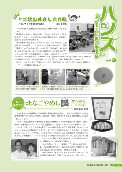 北なごやめし 「オムスパ」