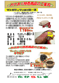 商品の詳細は、担当の営業マンにお気軽にお尋ねください。