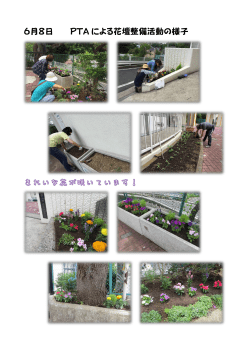 6月8日 PTA による花壇整備活動の様子