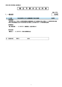 補 正 予 算 の 主 な 内 容