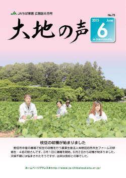 枝豆の収穫が始まりました
