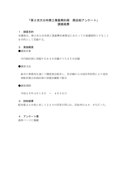 商店街アンケート報告書 (PDF:270KB)