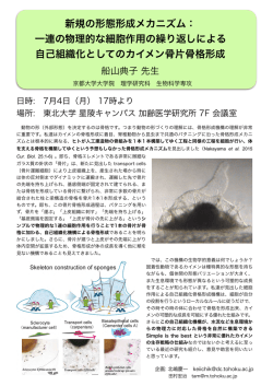一連の物理的な細胞作用の繰り返しによる 自己組織化としてのカ