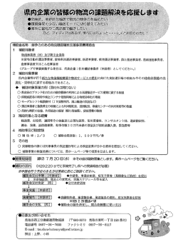 競争力のある物流機能構築支援事業費補助金について
