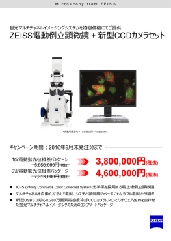 リーフレット 1P