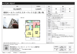 資料PDF