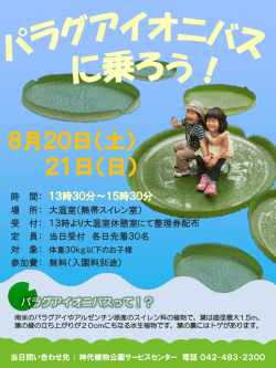 詳細はこちら