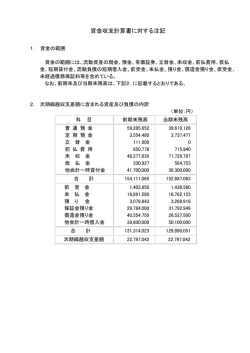 資金収支計算書に対する注記