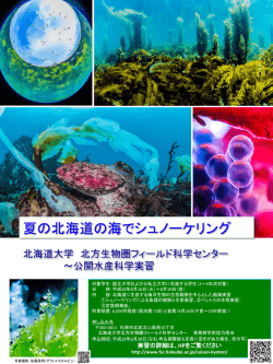ポスター - 北海道大学北方生物圏フィールド科学センター