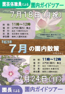 詳細はこちら