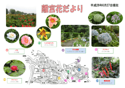 花の庭園 スイレン 観賞温室 アジサイ ヘメロカリス バラ