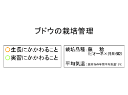 ブドウの栽培管理
