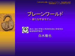 ブレーンワールド