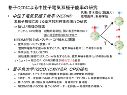 格子QCDによる中性子電気双極子能率の研究