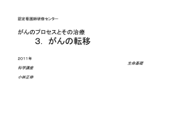 認定看護師H23年の3