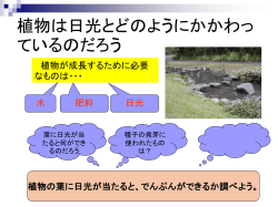 植物はデンプンをつくるのかを調べよう