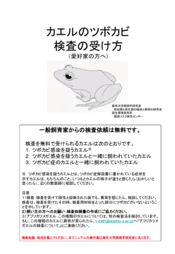 検査の受け方 - 爬虫類・両生類の臨床と病理のための研究会