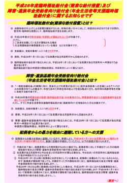 DV避難者向けチラシ