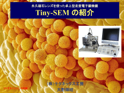 TinySEMの紹介