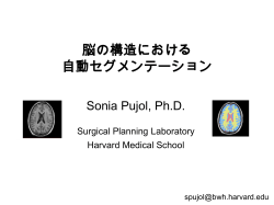 自動セグメンテーション - National Alliance for Medical Image Computing